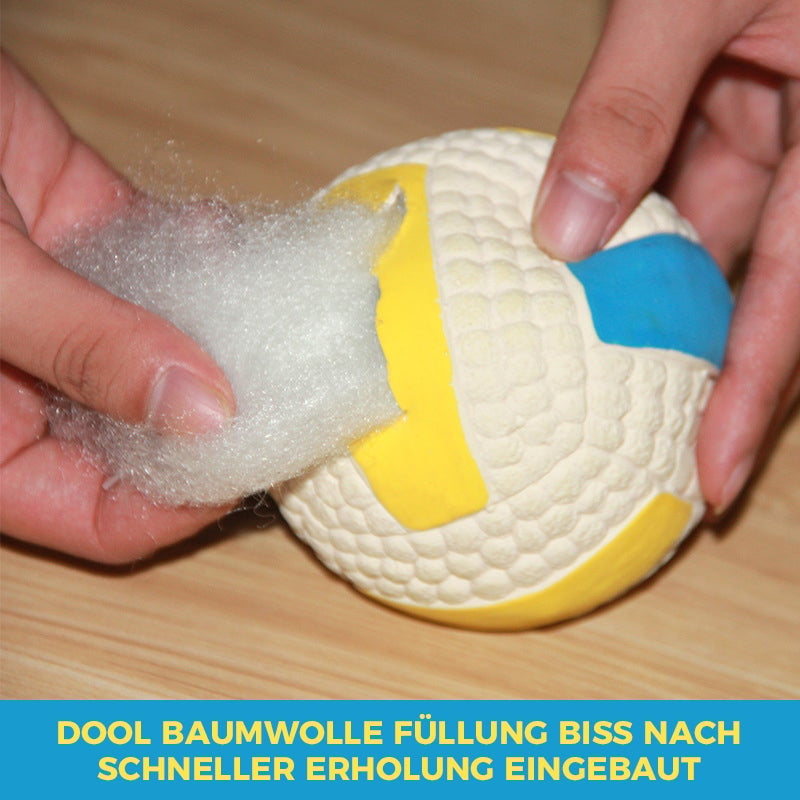 🐶Bissfester Ball für Hunde🐕