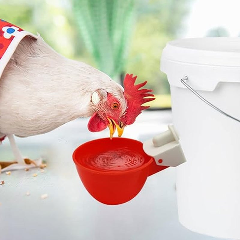 Automatic Chicken Water Cups