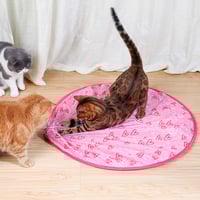 【BIG SALE】Smart Cat Interactive Ball Toys