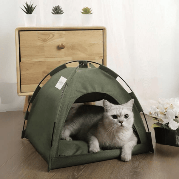 Pet Tent Bed