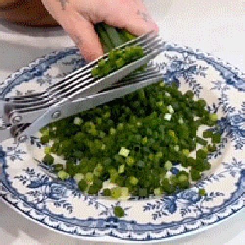Different meals garnished with herbs