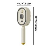 Electric Spray Air Cushion Massage Comb