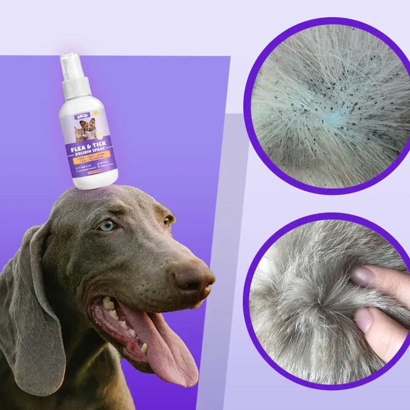 01_6_1aa821b7-252d-426d-b2cf-da274c81ea2f