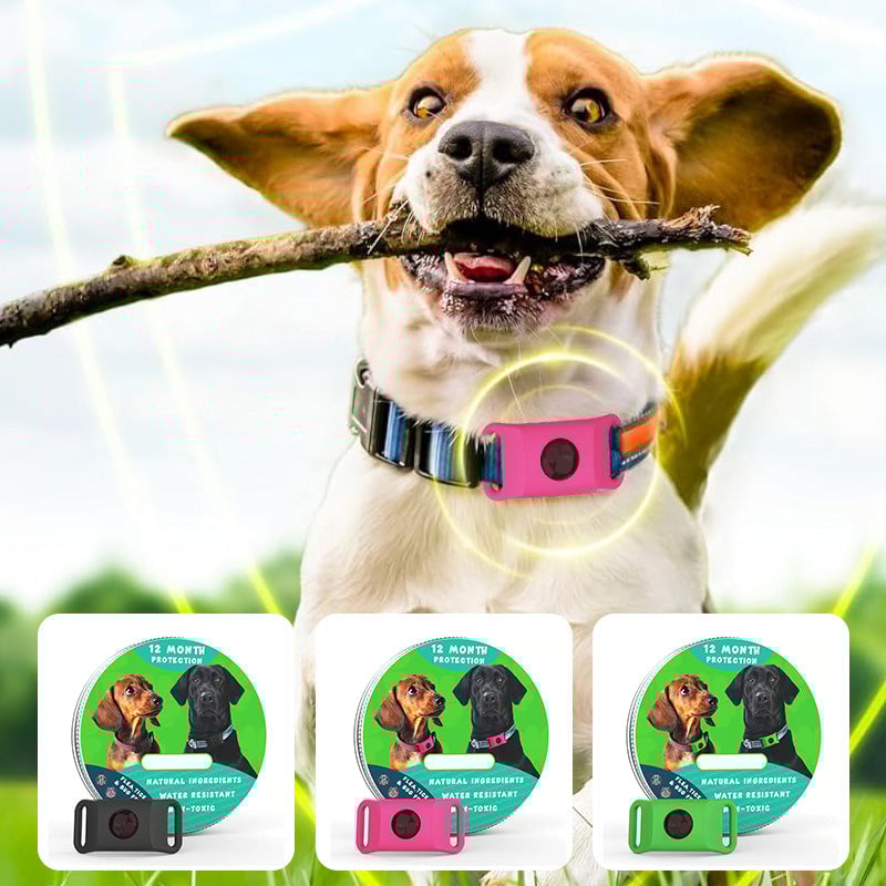 Sale- 12 Months Flea and Tick Free