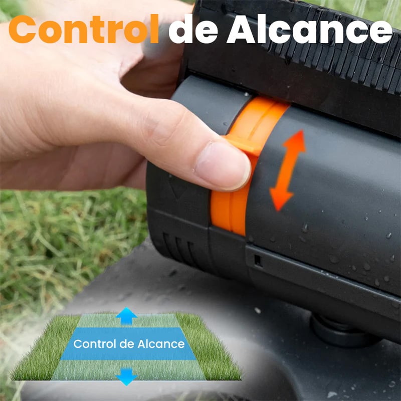 组 3.jpg
