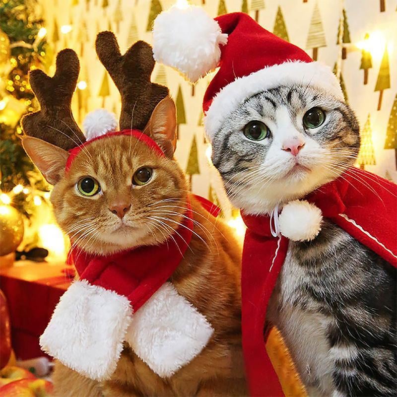 Christmas Pet Costumes