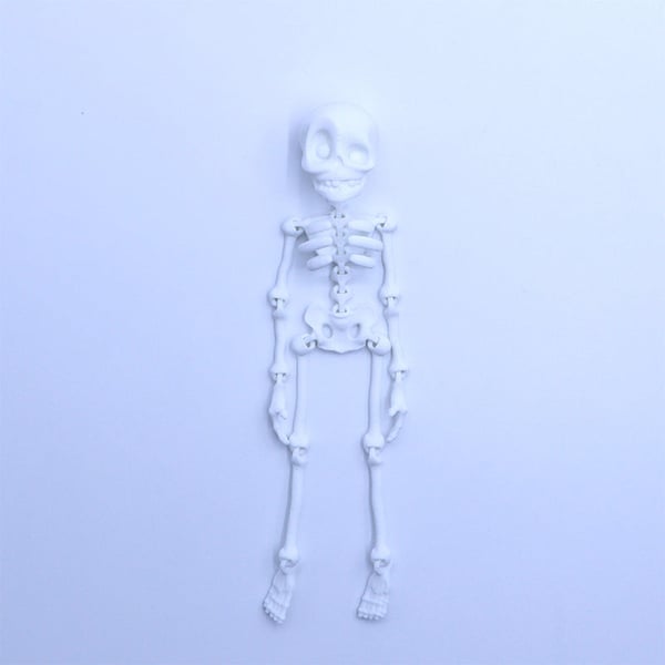 Skeleton Refrigerator Magnet