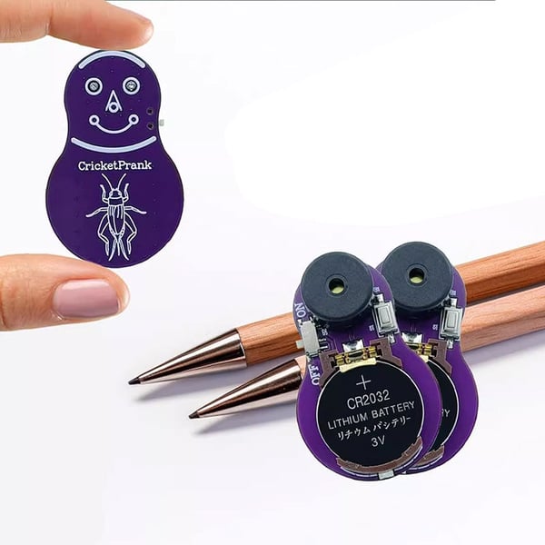 Cricket Noise Maker Prank