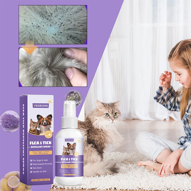 fm-2_85d6cfda-bbf4-46b6-99d1-8455f1848af6