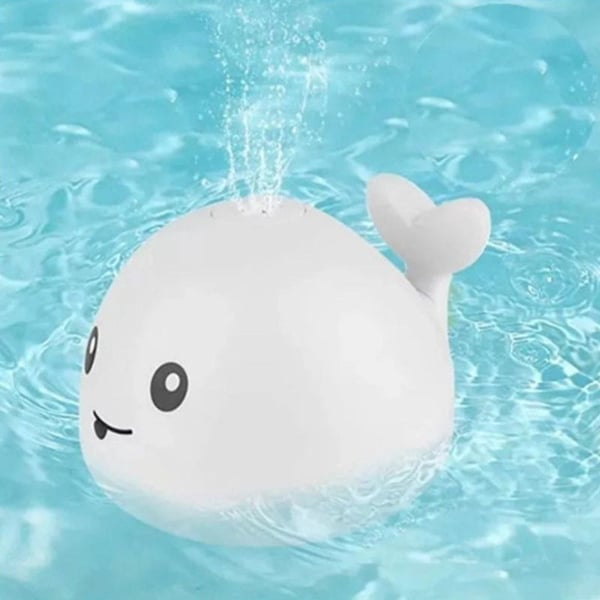 2_12_c51b67a2-0267-46c1-b858-311ac422db26