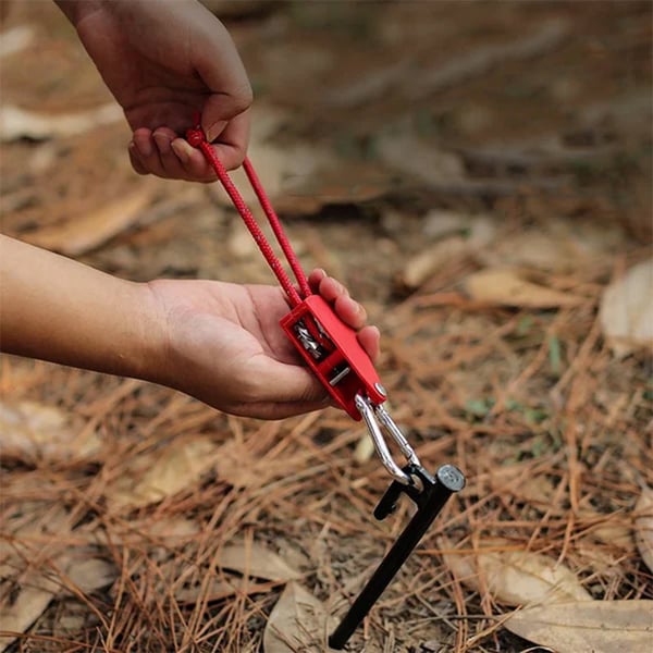 2_b8e57467-42c9-48b5-b113-96c2063f512d