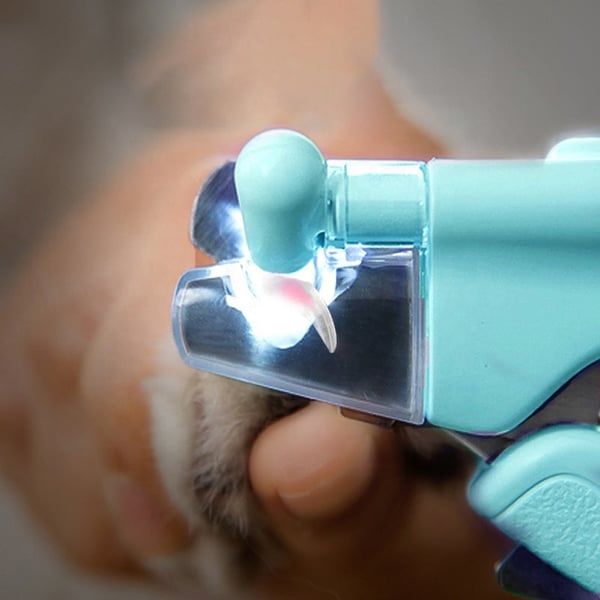 9_7ff04cfa-14ff-43b3-a495-019c9374c18d