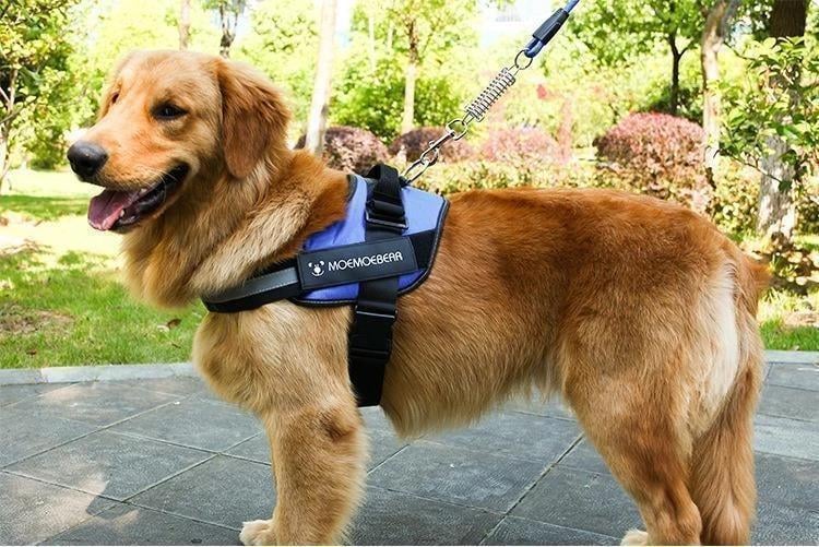 Reflektierende all-in-one No Pull-Hundegeschirr