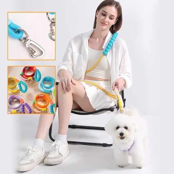 Dog reflective leash