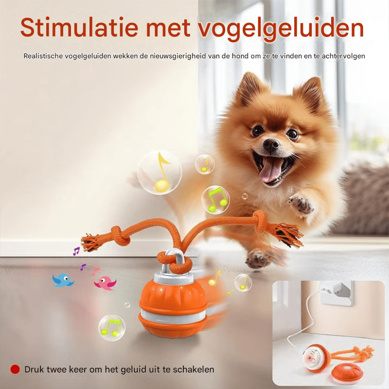 Interactieve Slimme Rollende Huisdierbal
