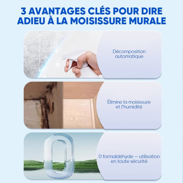 Spray Nettoyant Mural Anti-Moisissure à Action Rapide
