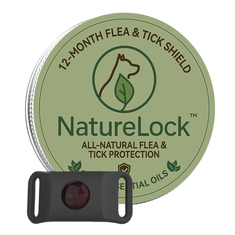 6bf98800-d9ba-48b1-4749-61906cd93800