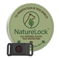 6bf98800-d9ba-48b1-4749-61906cd93800