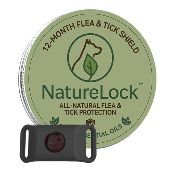 6bf98800-d9ba-48b1-4749-61906cd93800