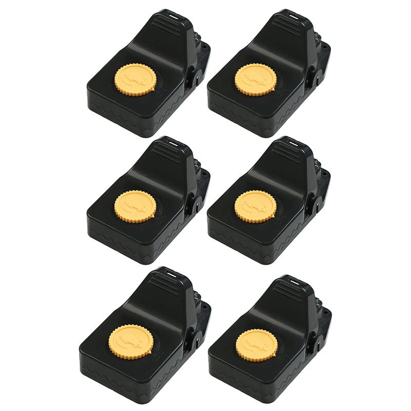 sku-4_02c903f5-de3b-450e-9888-1ddfa7dc63c5