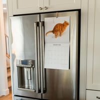 Katteafskræk kalender