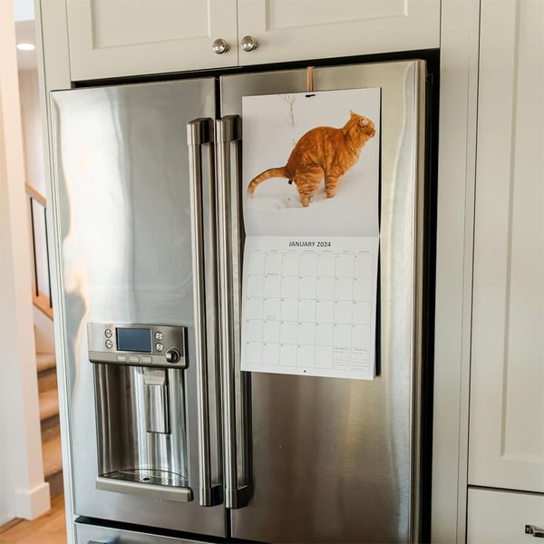 Katteafskræk kalender