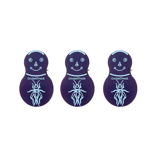 Cricket Noise Maker Prank