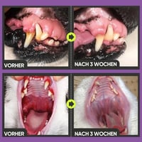 Hunde- und Katzenzahnreinigungsspray