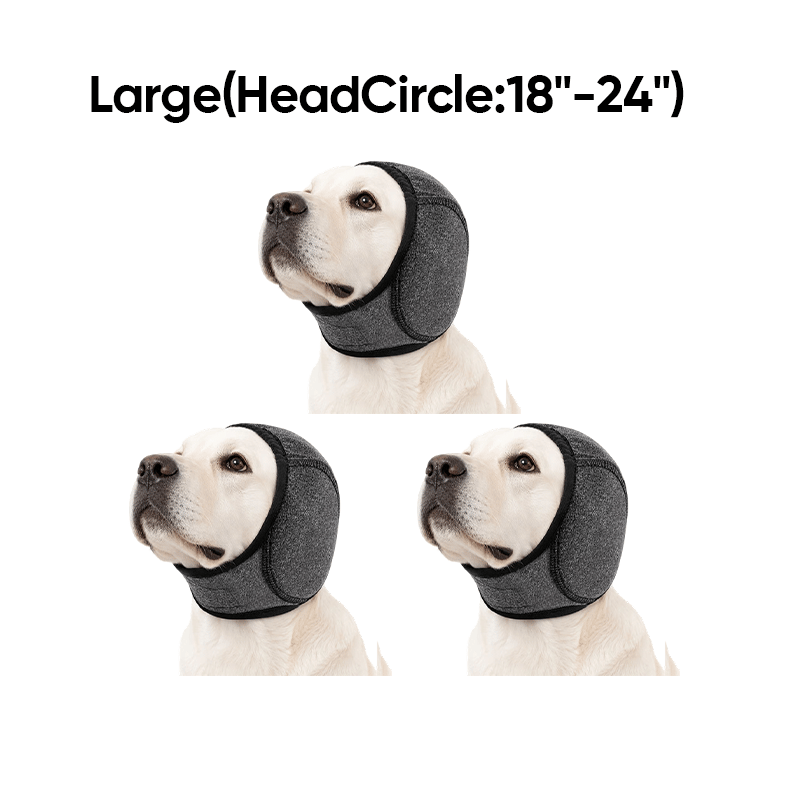 95514110-2a5d-406f-af4c-f300587e1e00