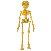 Skeleton Refrigerator Magnet