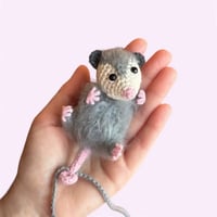Possum auto charme