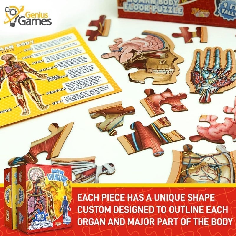 Human Anatomy Puzzle for Kids