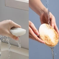 Scouring Pad with Long Handle