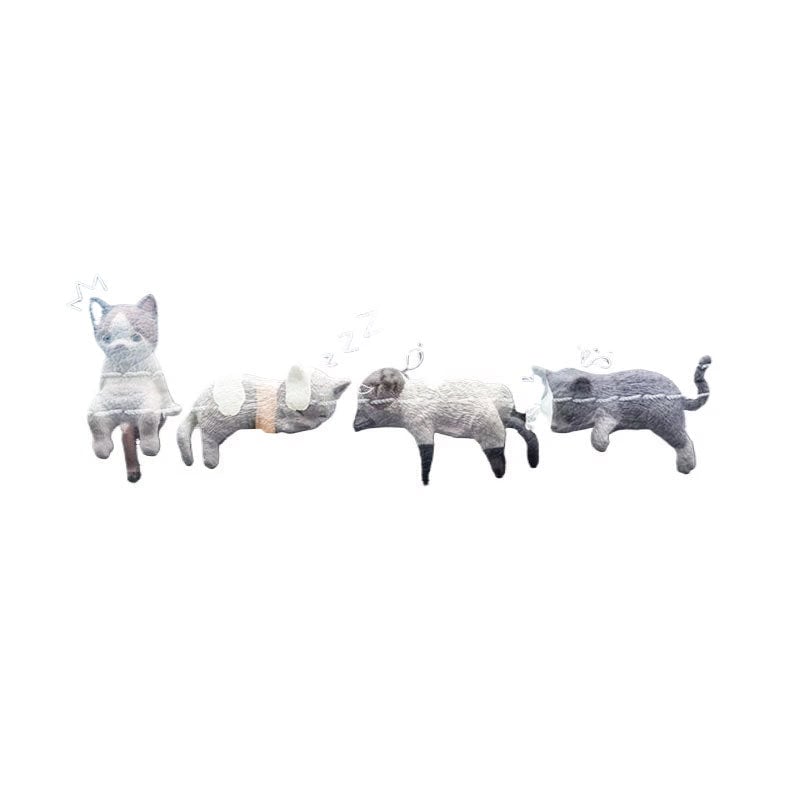 11_3bf86385-a709-492b-b47e-b53a182fb527