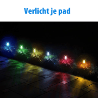 Zonne-tuinverlichting, 10 stuks