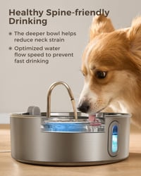 Sakerplus Automatic Dog Water Fountain