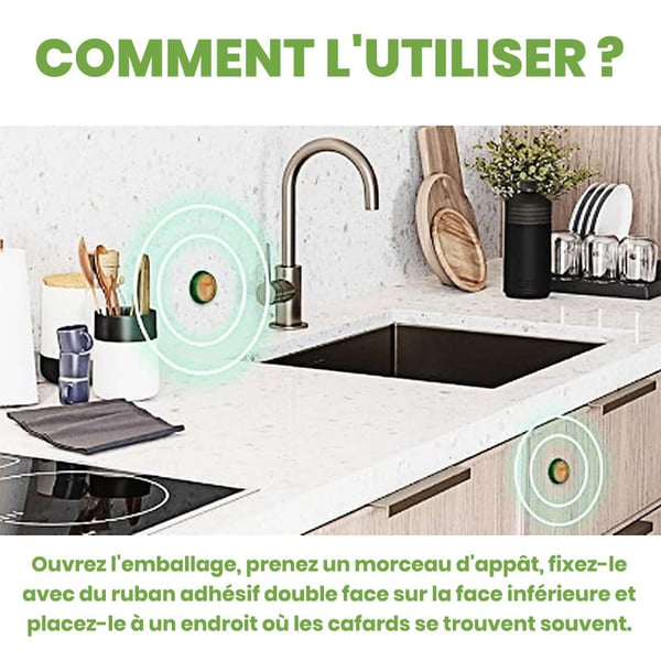 Répulsif contre les cafards