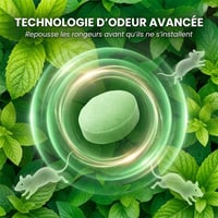 c84f2add-9cad-4005-a4db-02df00d2e200