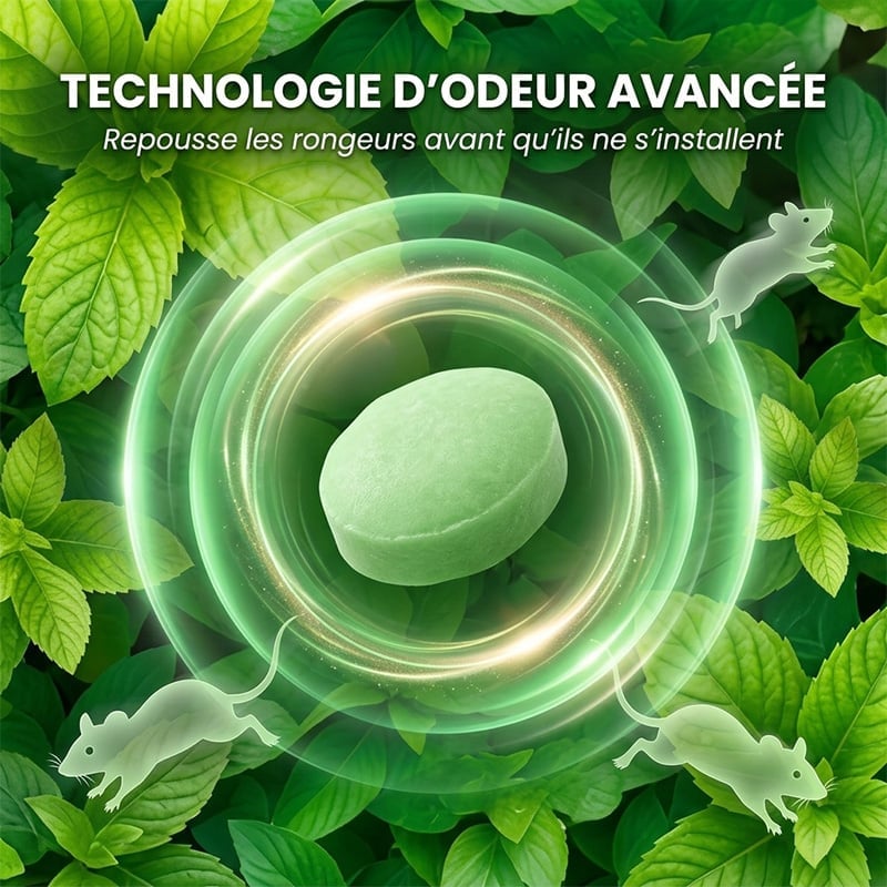 c84f2add-9cad-4005-a4db-02df00d2e200