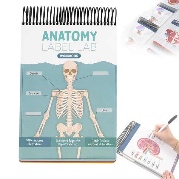 Anatomy Label Workbook