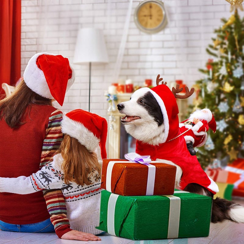 Santa Claus Riding Outfit For Pets