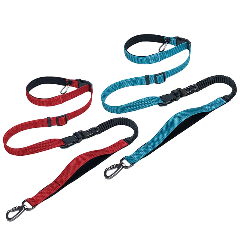 Hands Free Dog Leash