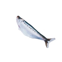 Realistic Flopping Fish Cat Toy