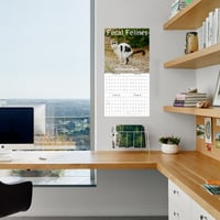 Katteafskræk kalender