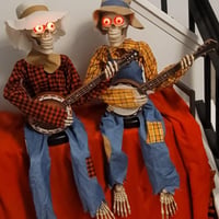 Divertidos Esqueletos Animados de Duelo de Banjo
