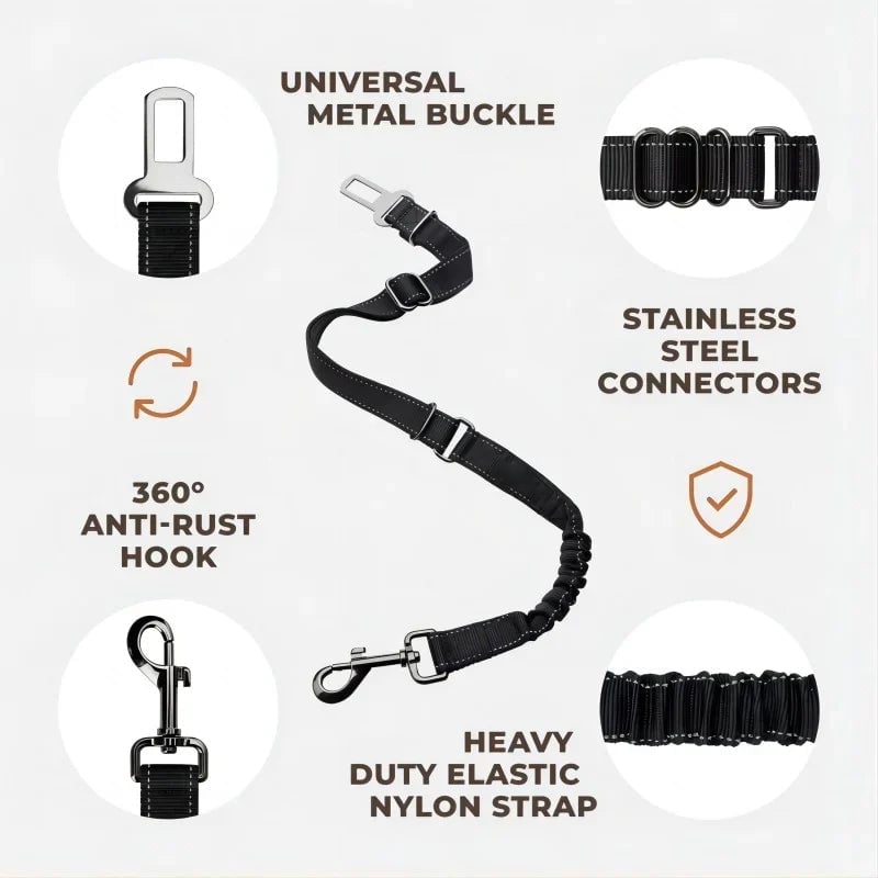 8_8703193b-a1b4-4457-b377-5098b9c780fb