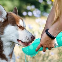 Hundetrinkflasche, tragbar