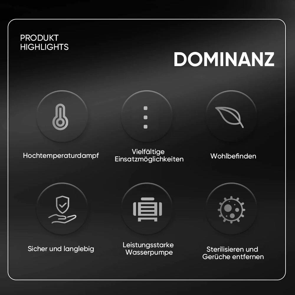 Saker Dampfreiniger zur Desinfektion