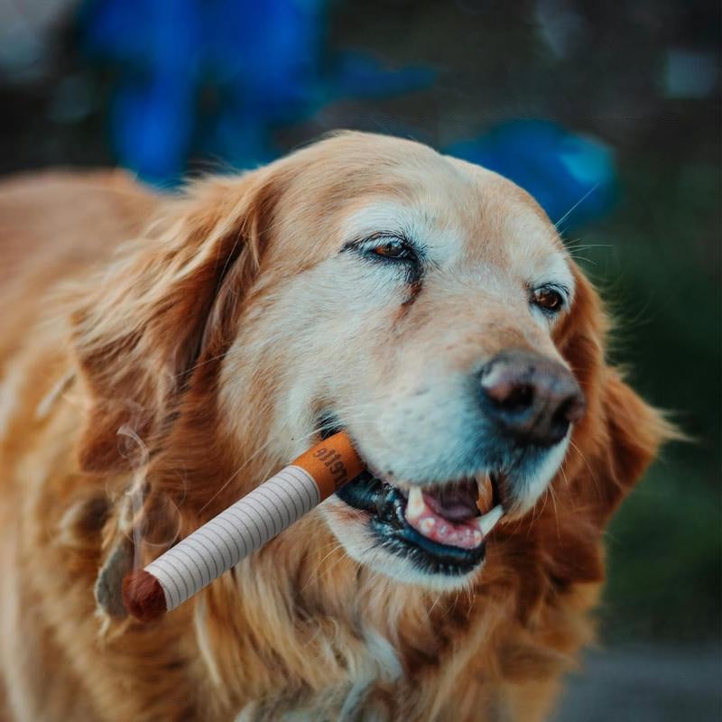Pet Cigaret Legetøj
