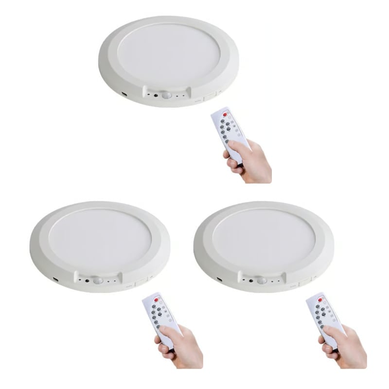 Motion Sensor Ceiling Light